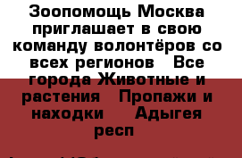 Зоопомощь.Москва приглашает в свою команду волонтёров со всех регионов - Все города Животные и растения » Пропажи и находки   . Адыгея респ.